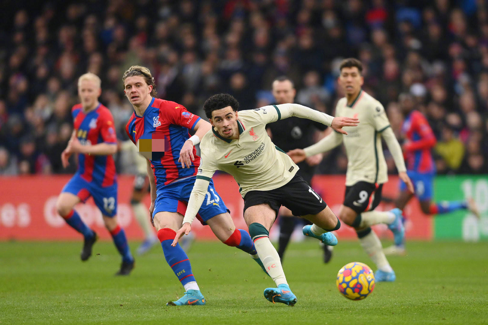 减缓比赛节 减缓比赛节